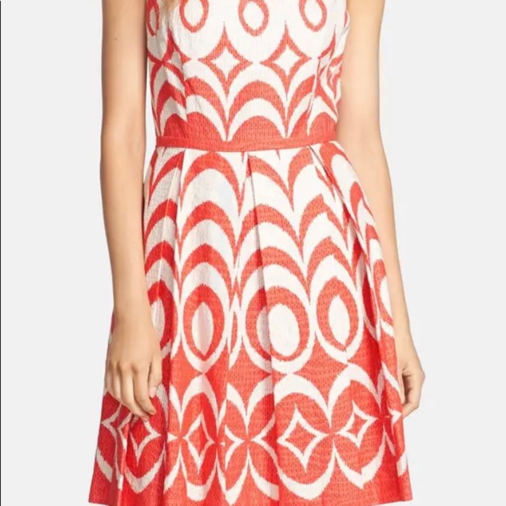 Taylor Print Cotton Fit & Flare Dress